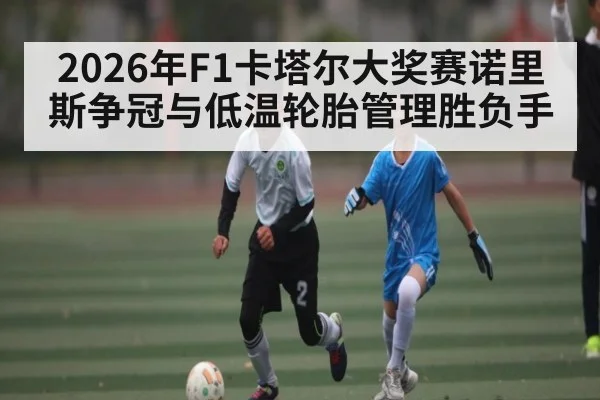2026年F1卡塔尔大奖赛诺里斯争冠与低温轮胎管理胜负手